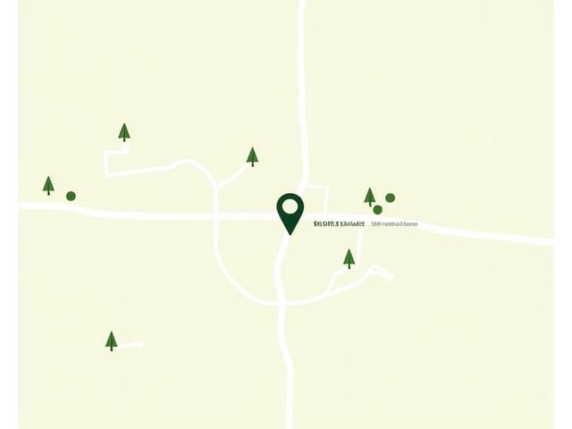 Illustration of a map showing Bloom & Balance office location in Austin, with a pin and surrounding greenery